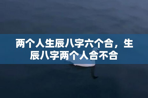 两个人生辰八字六个合，生辰八字两个人合不合