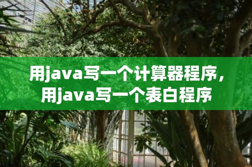 用java写一个计算器程序，用java写一个表白程序