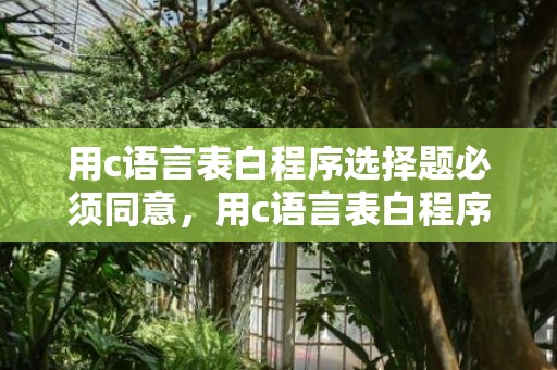 用c语言表白程序选择题必须同意，用c语言表白程序必须同意