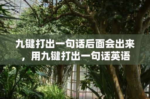 九键打出一句话后面会出来，用九键打出一句话英语