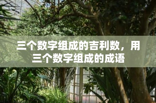 三个数字组成的吉利数，用三个数字组成的成语