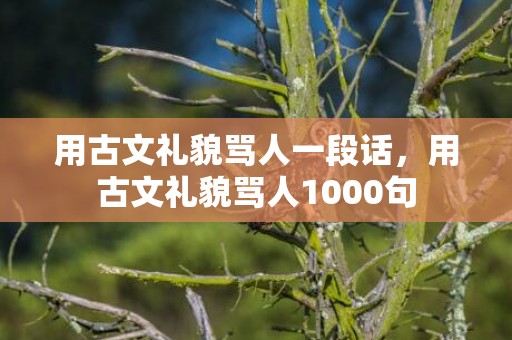 用古文礼貌骂人一段话，用古文礼貌骂人1000句