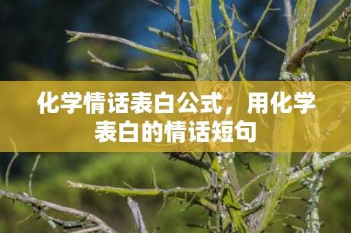 化学情话表白公式，用化学表白的情话短句