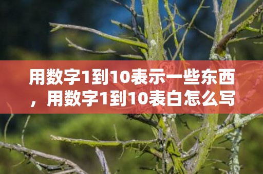 用数字1到10表示一些东西，用数字1到10表白怎么写