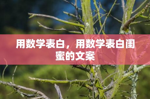 用数学表白，用数学表白闺蜜的文案