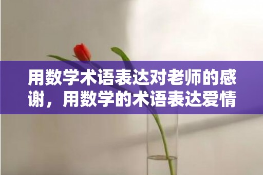 用数学术语表达对老师的感谢，用数学的术语表达爱情