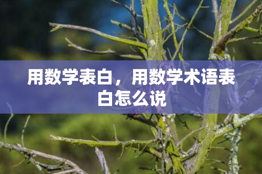 用数学表白，用数学术语表白怎么说