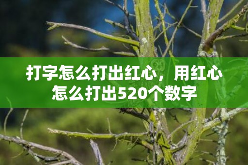 打字怎么打出红心，用红心怎么打出520个数字