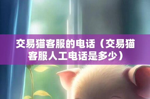 交易猫客服的电话（交易猫客服人工电话是多少）