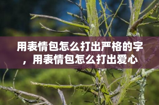 用表情包怎么打出严格的字，用表情包怎么打出爱心