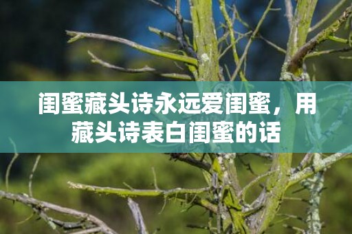 闺蜜藏头诗永远爱闺蜜，用藏头诗表白闺蜜的话