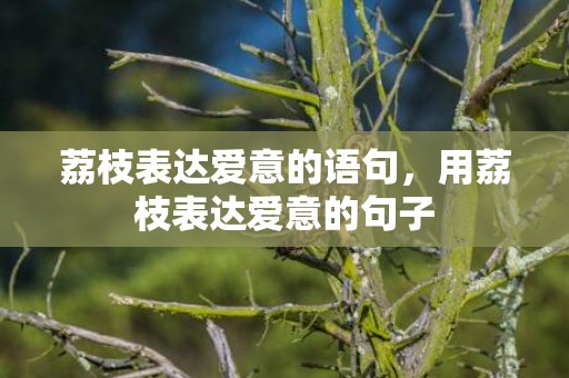 荔枝表达爱意的语句，用荔枝表达爱意的句子