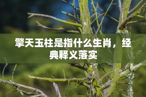 擎天玉柱是指什么生肖，经典释义落实