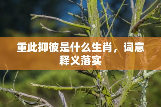 重此抑彼是什么生肖，词意释义落实
