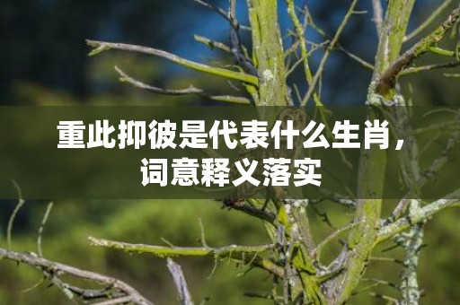 重此抑彼是代表什么生肖，词意释义落实