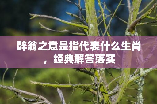醉翁之意是指代表什么生肖，经典解答落实