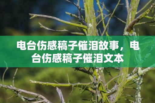 电台伤感稿子催泪故事，电台伤感稿子催泪文本