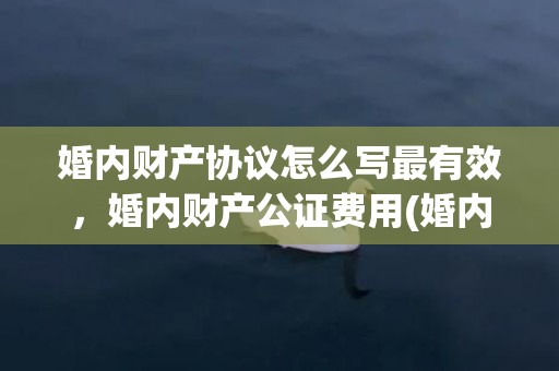 婚内财产协议怎么写最有效，婚内财产公证费用(婚内财产公证费用的标准)