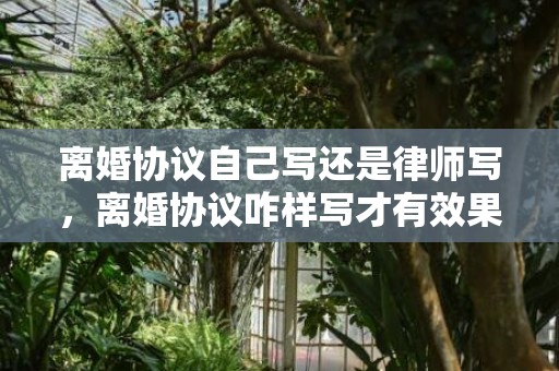离婚协议自己写还是律师写，离婚协议咋样写才有效果