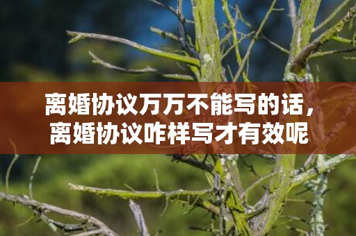 离婚协议万万不能写的话，离婚协议咋样写才有效呢