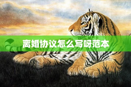 离婚协议怎么写呀范本