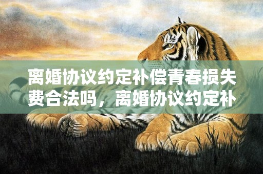 离婚协议约定补偿青春损失费合法吗，离婚协议约定补偿金过高