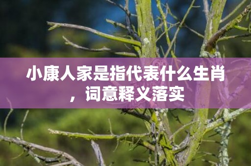 小康人家是指代表什么生肖，词意释义落实
