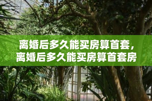 离婚后多久能买房算首套，离婚后多久能买房算首套房