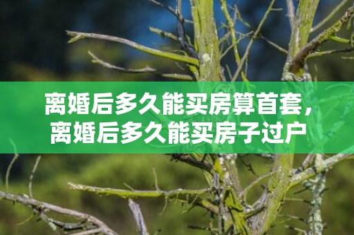 离婚后多久能买房算首套，离婚后多久能买房子过户