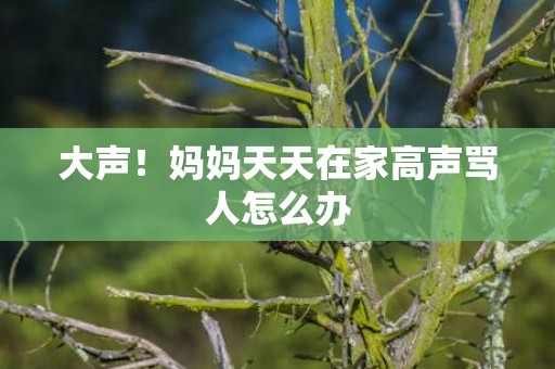 大声！妈妈天天在家高声骂人怎么办