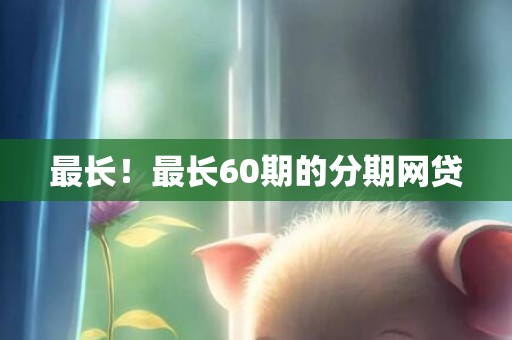 最长！最长60期的分期网贷