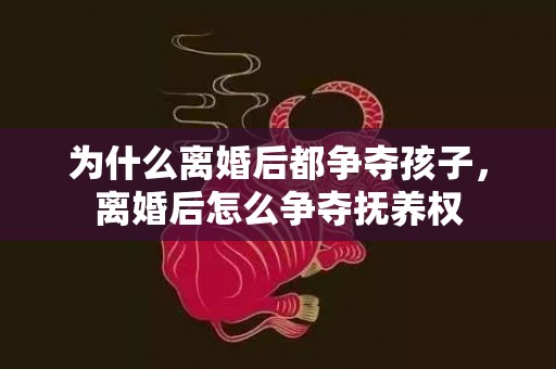 为什么离婚后都争夺孩子，离婚后怎么争夺抚养权