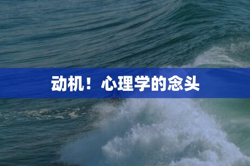 动机！心理学的念头