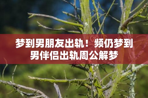梦到男朋友出轨！频仍梦到男伴侣出轨周公解梦