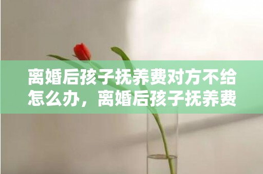 离婚后孩子抚养费对方不给怎么办，离婚后孩子抚养费是多少钱