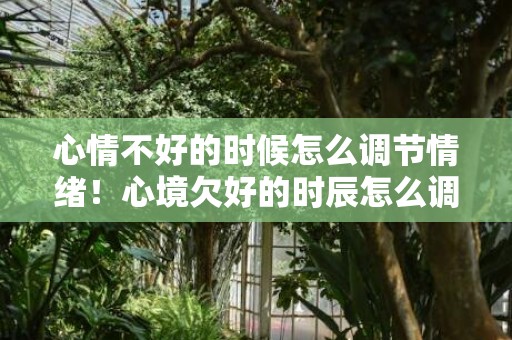 心情不好的时候怎么调节情绪！心境欠好的时辰怎么调节情感