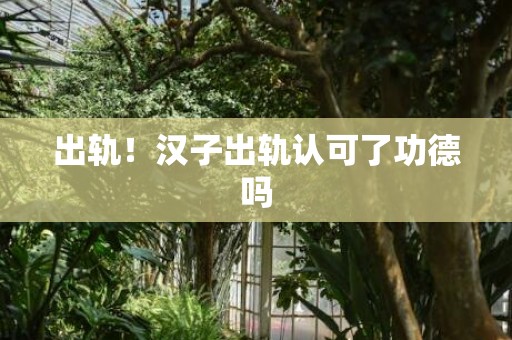 出轨！汉子出轨认可了功德吗