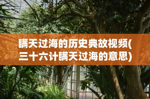 瞒天过海的历史典故视频(三十六计瞒天过海的意思)