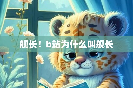 舰长！b站为什么叫舰长
