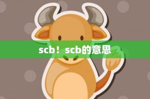 scb！scb的意思