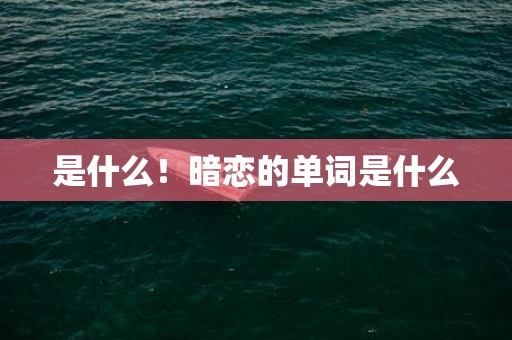 是什么！暗恋的单词是什么