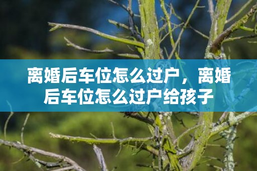 离婚后车位怎么过户，离婚后车位怎么过户给孩子