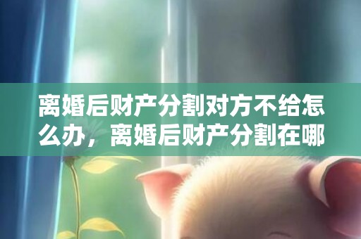 离婚后财产分割对方不给怎么办，离婚后财产分割在哪里起诉