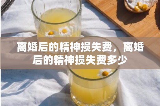 离婚后的精神损失费，离婚后的精神损失费多少