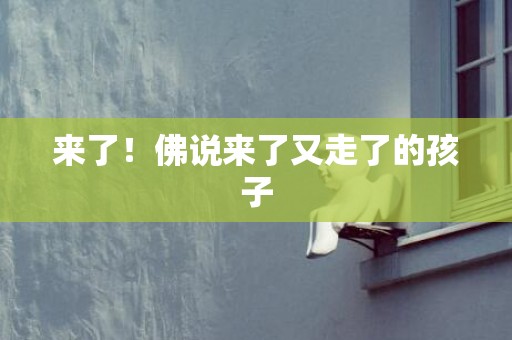 来了！佛说来了又走了的孩子