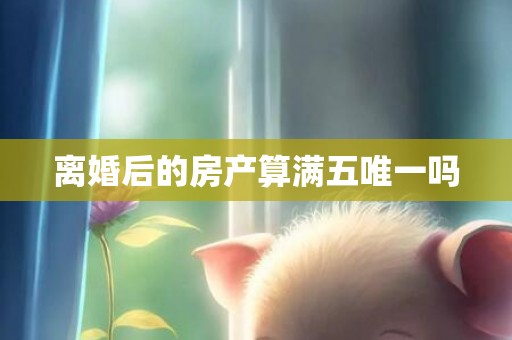 离婚后的房产算满五唯一吗