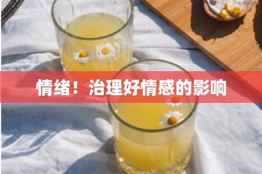 情绪！治理好情感的影响