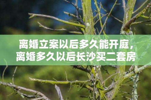 离婚立案以后多久能开庭，离婚多久以后长沙买二套房