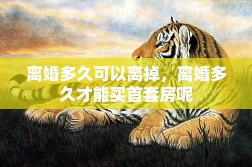 离婚多久可以离掉，离婚多久才能买首套房呢