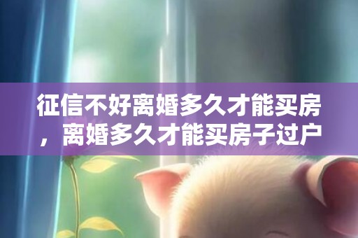 征信不好离婚多久才能买房，离婚多久才能买房子过户